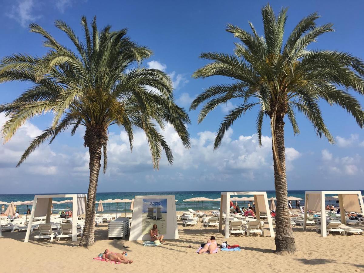 Domange I Apartment Alicante Bagian luar foto